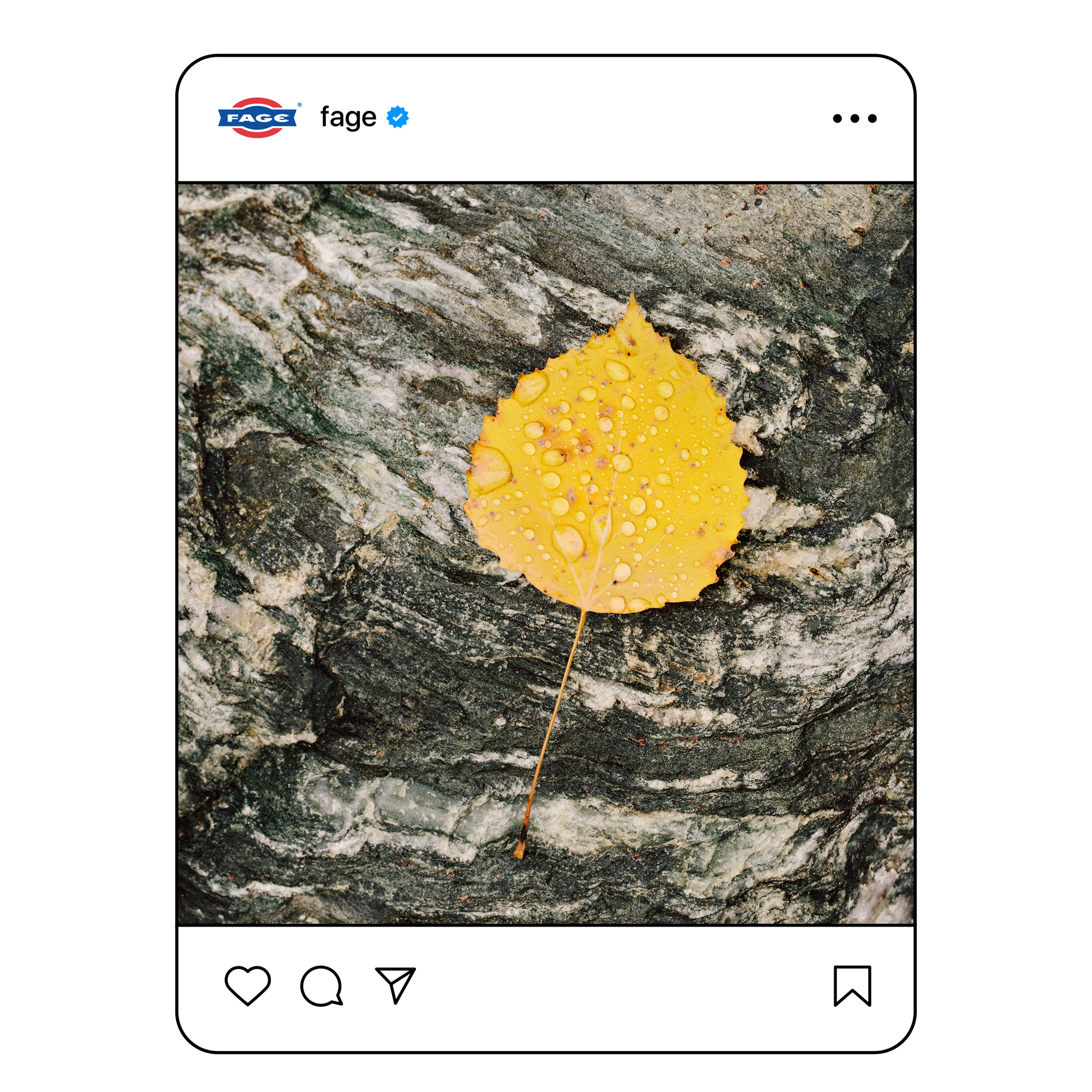 fage_instagram-post_2_11
